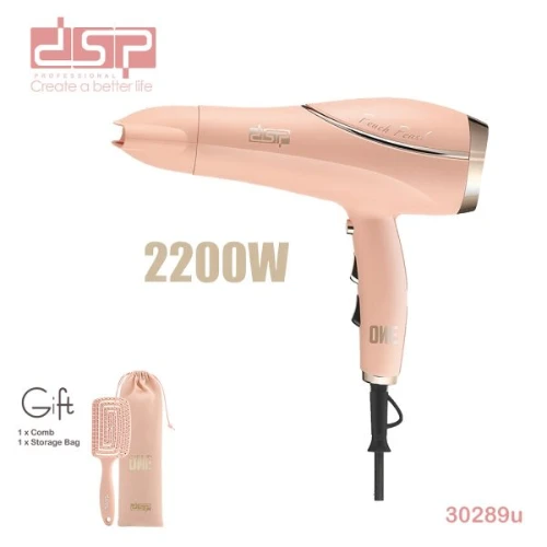 DSP 30289U Hair Dryer