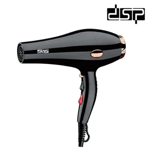 DSP 30101 Hair Dryer